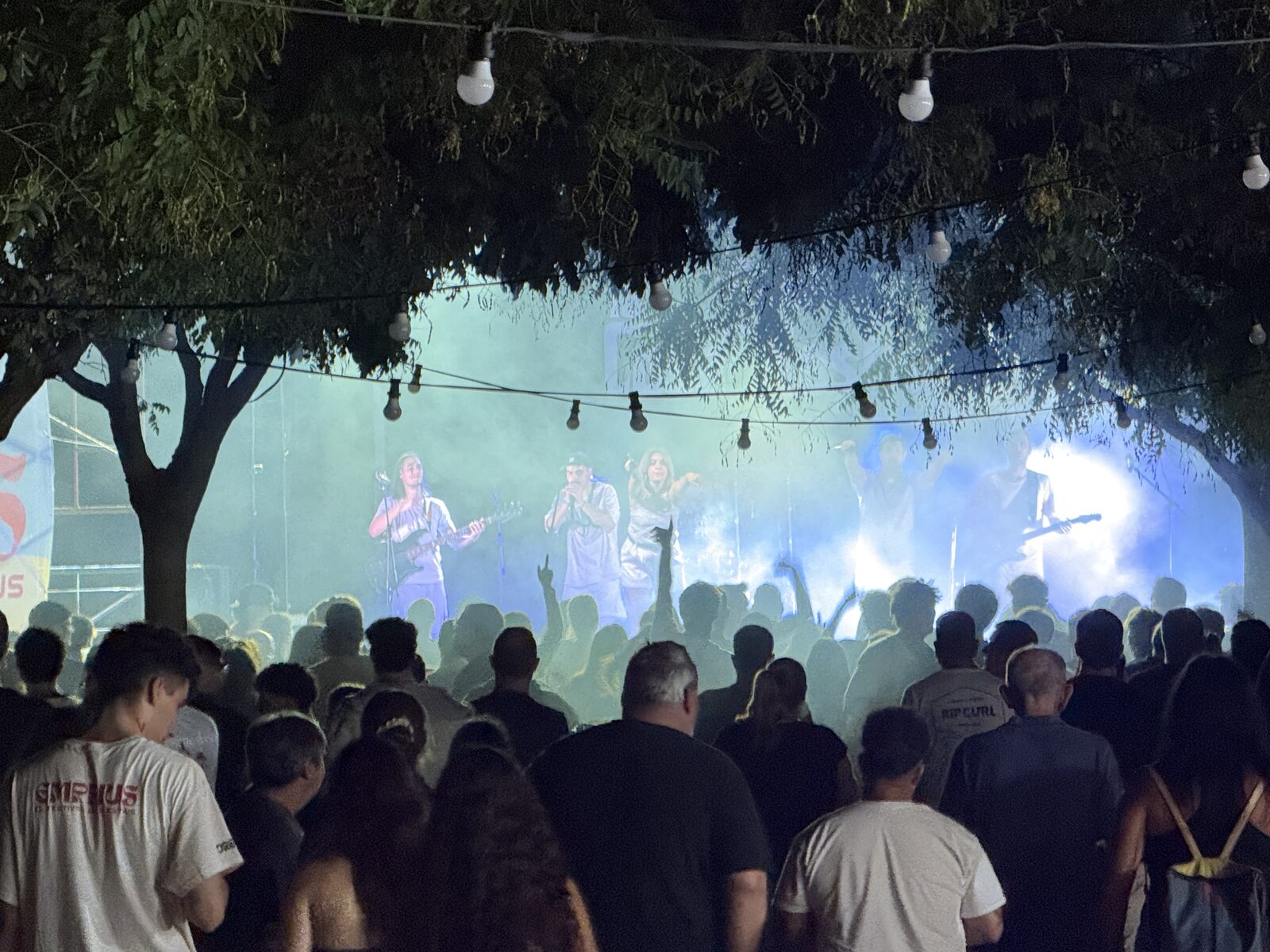 El concert vist des de sota els arbres